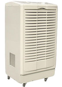 百科特奧除濕機DH-8150C 性能與價格深度解析